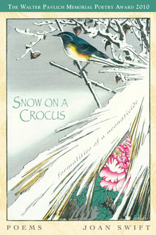Snow_On_A_Crocus